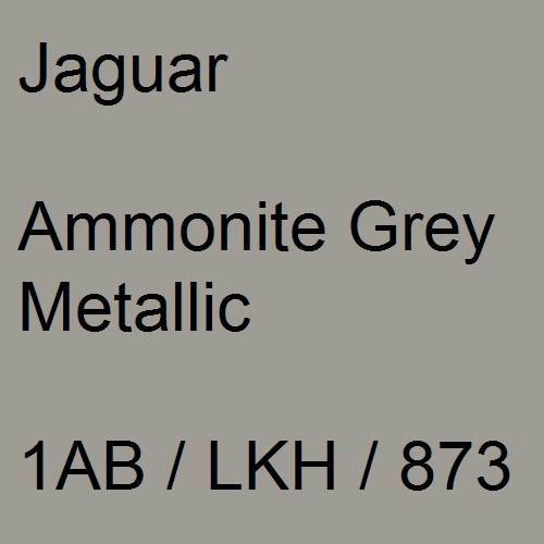 Jaguar, Ammonite Grey Metallic, 1AB / LKH / 873.